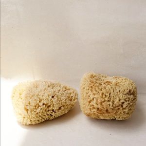 1 Baudelaire Natural Sea Sponge